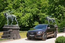 Audi Q5 od Senner Tuning 2011 22